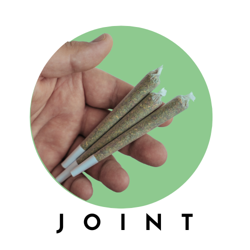 Pre Rolled Joints Rolling Kit Haze Buds