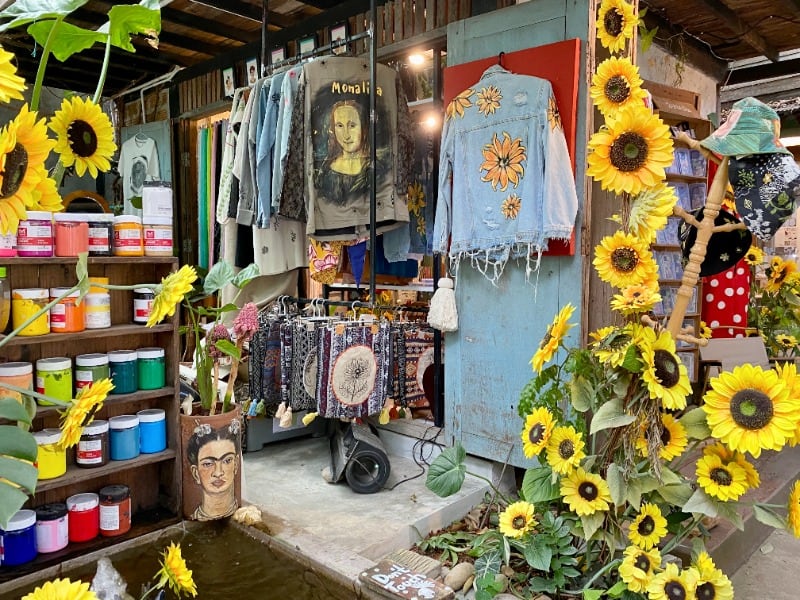 Sun Flowers with Blue Jean Jacket in Chiang Mai
